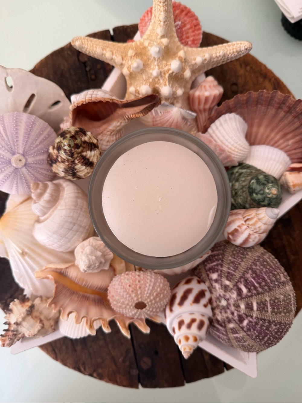 Coastal Seashell Candle Centerpiece in White Star - Picture 11 of 16